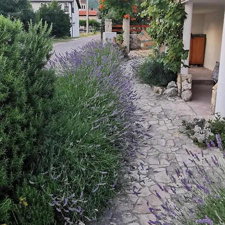 Casa Lavanda 2 - Karin Gornji