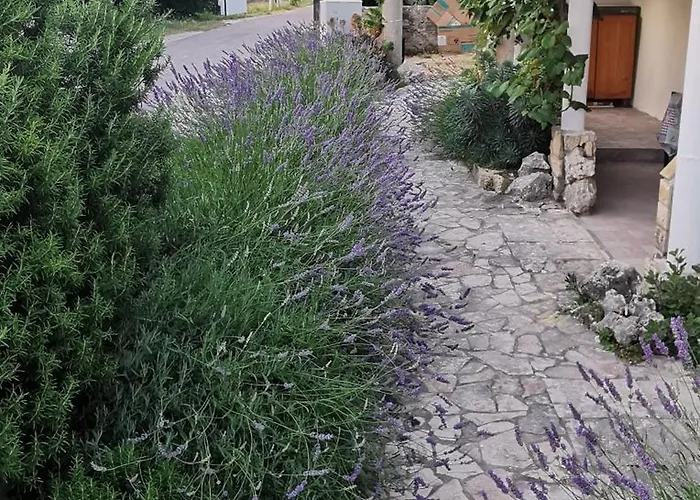 Casa Lavanda 2 - Karin Gornji